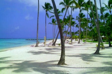 Vacaciones de verano, 9 días en Punta Cana
