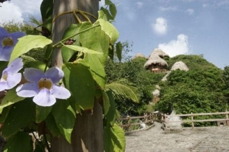 Hotel Spa Tayrona: ecohabitaciones en un Parque Natural