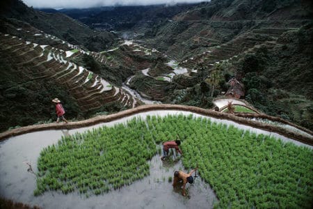 Las terrazas de arroz de Banaue, en Filipinas