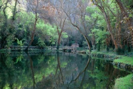 La magia del Parque Natural Monasterio de Piedra
