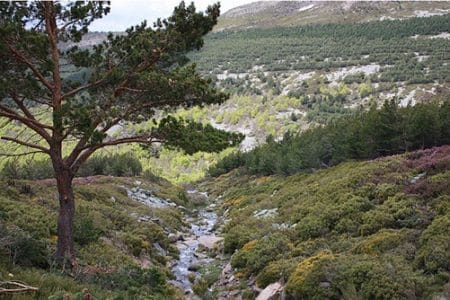 Escapada senderista al Parque Natural Sierra de Cebollera