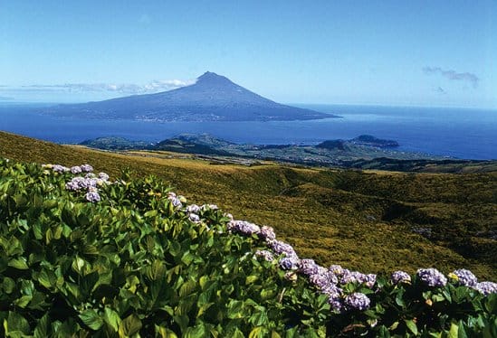 Parque Natural Faial de Azores 