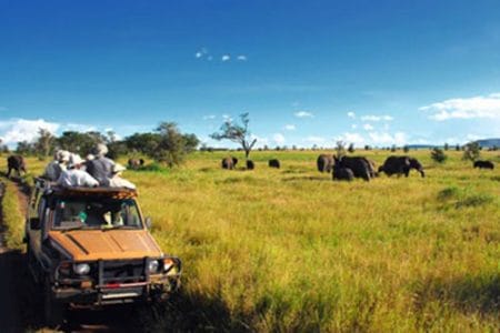 Los safaris más populares de África