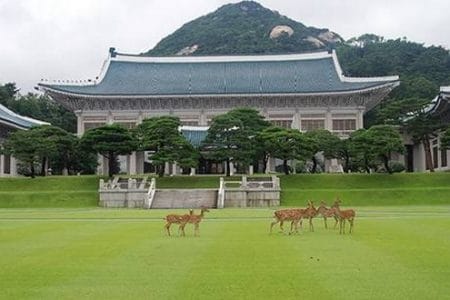 La Casa Azul, visita al palacio presidencial de Corea del Sur