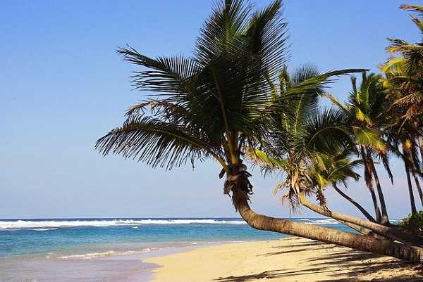 Playa Bávaro: vacaciones a Punta Cana